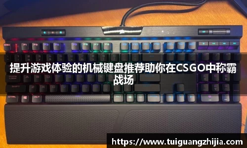 提升游戏体验的机械键盘推荐助你在CSGO中称霸战场
